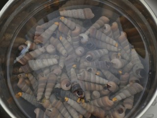 剁椒炒钉螺,买好的钉螺一般都是顶部被打碎的，这样方便吸，放大盆内浸泡一小时左右。