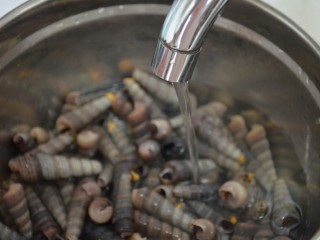 剁椒炒钉螺,用流水反复冲洗几遍，去除沙子和杂质。