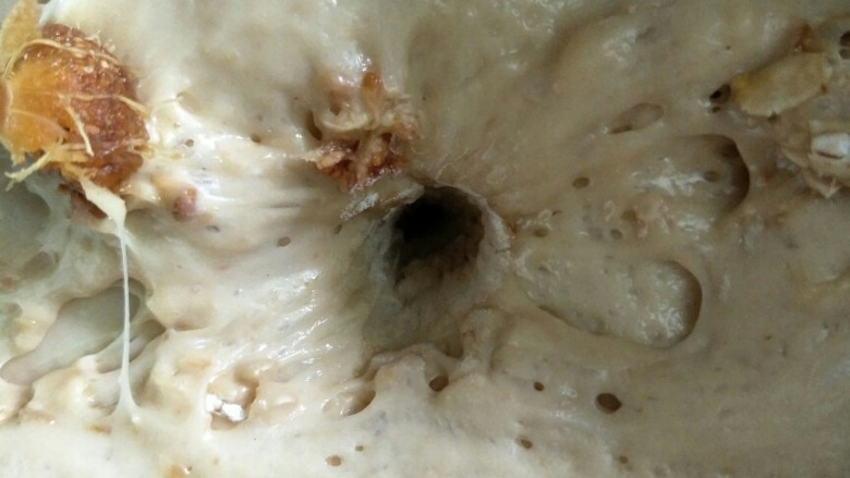 无花果燕麦红糖包,发酵是原来面团的两倍大，可以用手指戳个洞面团不会回缩就表示发酵好了