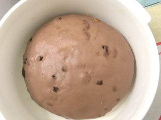 蔓越梅巧克力软欧,盖上盖子送进发酵箱28度一发，这是一发后的状态