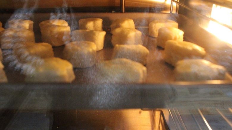 奶油奶酪司康~UKOEO 风炉制作,普通烤箱180度中层烤。