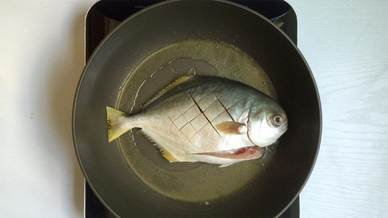 红烧鲳鱼,锅里烧热油后放入鲳鱼煎制