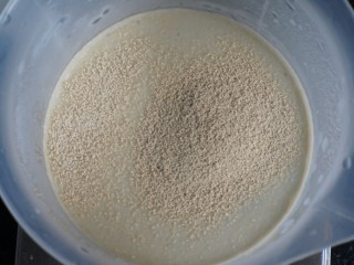蒜香黑麦佛卡夏面包,加入酵母和2g糖