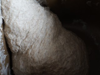 蒜香黑麦佛卡夏面包,面团比较湿，不用出膜，表面揉光滑