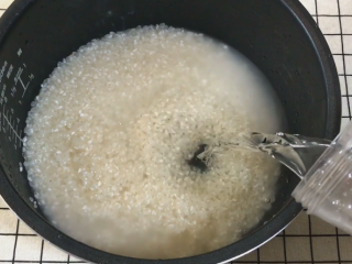 网红米饭,大米洗净 ，正常煮饭的水量即可