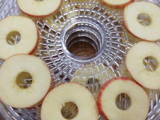 摩飞干果机做苹果干图片
