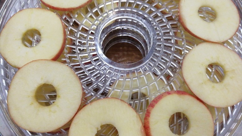 自制苹果干（烘干机版）,然后把苹果片一片片摆入到烘干机的托盘上，尽量不要重叠，这样烘干起来更快更均匀