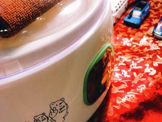 用酸奶机自制醪糟🤗,将酸奶机通电。发酵36小时。
