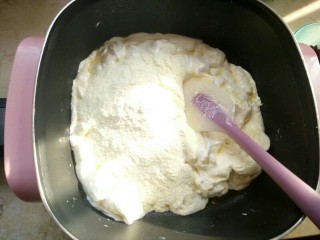 蔓越莓牛轧糖,棉花糖全部融化以后倒入奶粉，关火快速翻拌，使奶粉和棉花糖均匀融合！