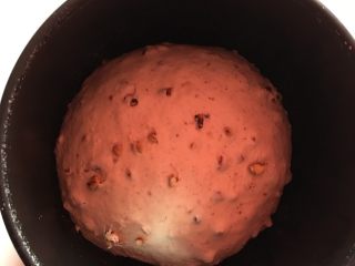 黑麦碧根果面包,面团滚圆入盆上覆保鲜膜