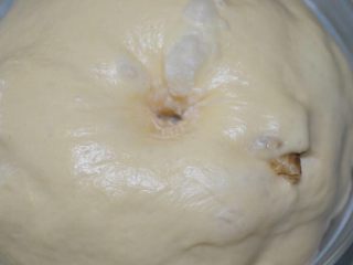 胚芽核桃包,面团发酵至原来的2倍大，手指沾粉戳孔，面团不塌陷，稍微有一丁点回缩也就可以了。