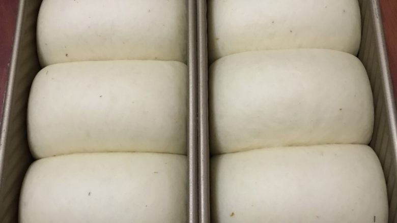 糖桂花吐司,放进发酵箱温度在35度湿度保持在80％左右发酵9 分满