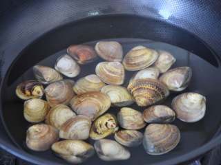 文蛤蒸蛋,放锅内，加水，水量要没过文蛤。