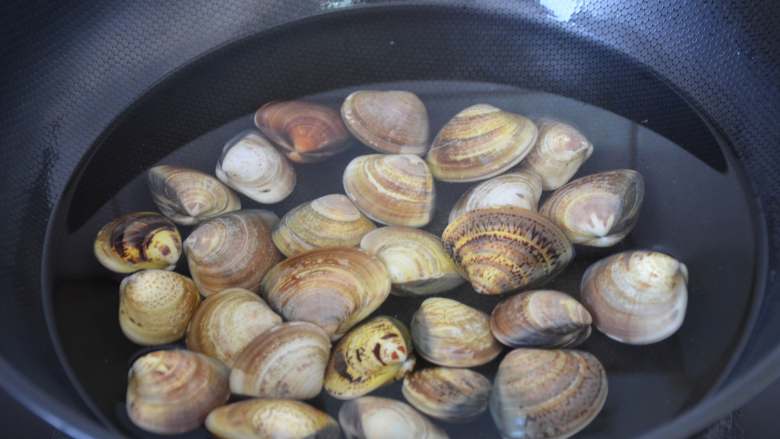 文蛤蒸蛋,放锅内，加水，水量要没过文蛤。