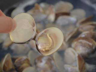 文蛤蒸蛋,开口即可，煮蛤蜊的水晾凉备用。