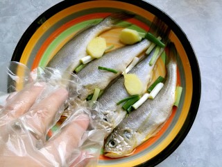 干炸黄花鱼,放上葱段，姜片，戴上一次性手套把鱼涂抹均匀，腌制三十分钟入味。
