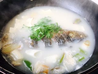 鲫鱼豆腐汤,放入少许的芫荽提香（因为家中没有芫荽，用其它蔬菜代替了）。