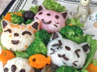 猫咪饭团,其他的饭团可以同理做出，米饭可以加胡萝卜、海苔分别作出不同颜色的饭团