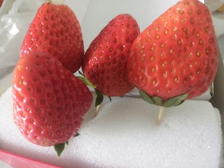 草莓巧克力,草莓找个泡沫插上
