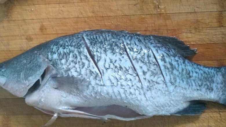 清蒸海桂鱼,把清洗好的海桂鱼放在菜板上在鱼身上下个划三道。