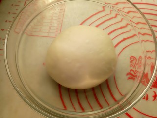 迷你汉堡,把面团放入干净的碗里，盖保鲜膜26度左右进行一发(不要超过28度)。