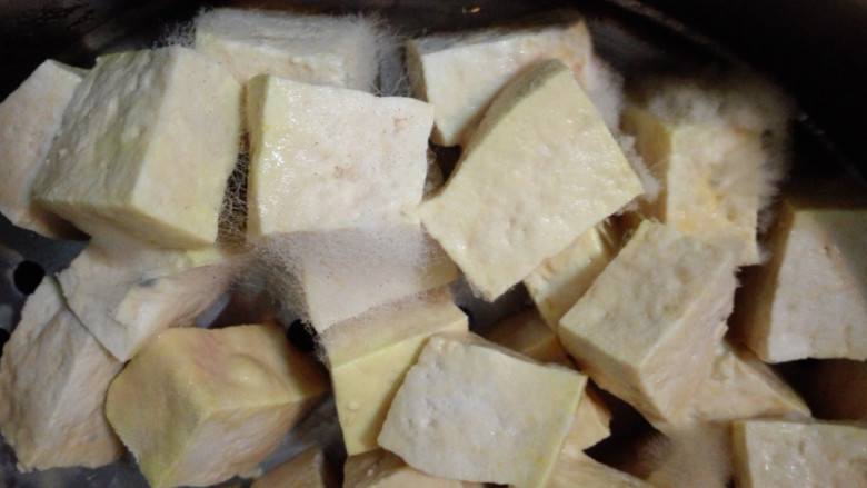 红油腐乳,第五天，豆腐都很黄了，表面挂满一层黄黄的粘液和白毛
