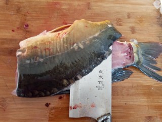 椒麻鱼片,鲤鱼去掉鱼肉延着鱼尾贴着鱼骨片下有肉