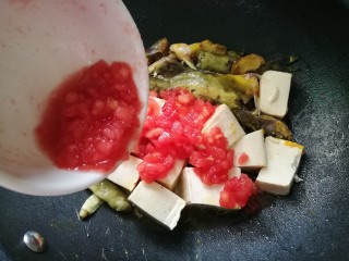 酸辣番茄豆腐鱼,倒入番茄，加点白糖，调入盐和生抽。