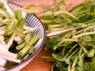 春天的“野菜”，比肉还好吃！,水芹洗净，叶、梗切段备用