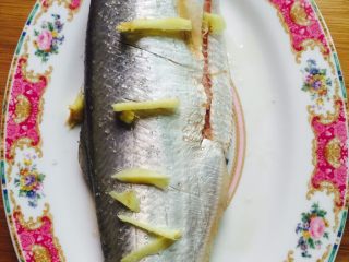 粤式清蒸鳓鱼,在鱼的两面划上三刀，取一茶匙的盐抹匀在鱼身上，腌制片刻。放上姜丝