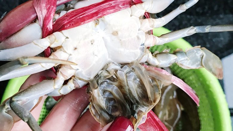 浓香咖喱海鲜煲,清理螃蟹 蟹腮部分