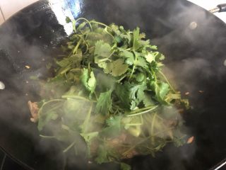 木耳香菜炒肉片,下切成长约一寸半的香菜段，翻炒。