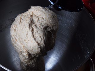 蔓越梅乡村面包,这是搅拌10分钟的状态。