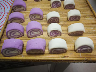 紫薯双色卷,切成段，另外两个面团同样的方法操作，白色面放下面紫色在上面就是另一种效果了。