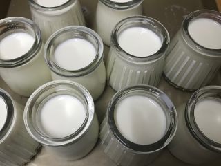 小朋友每天都想吃的自制酸奶,把半成品酸奶分别倒入酸奶瓶，量为八分满。