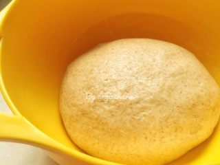 黑麦酵种斯佩尔特spelt短棍面包,取出揉圆，收口向下放进大碗中。