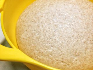 黑麦酵种斯佩尔特spelt短棍面包,从冰箱取出后如果没有原来体积的两倍大，继续室温发酵至两倍大。