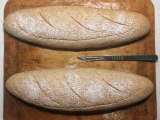 黑麦酵种斯佩尔特spelt短棍面包,割包。