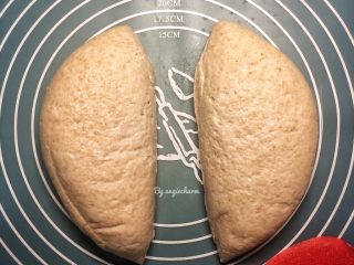 黑麦酵种斯佩尔特spelt短棍面包,倒出面团分成两份，动作轻柔尽量不破坏内部气孔。