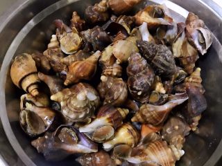 香葱拌小海螺,在市场买到新鲜的小海螺全部是活的噢