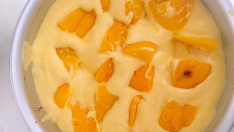 芒果慕斯,把芒果糊倒进去，可以加一层蛋糕坯，倒一层糊，再加适量芒果果肉块，上面再倒一层糊糊抹平