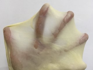 芝麻奶油小餐包（中种）,然后加入黄油揉至完全扩展，即手套膜。