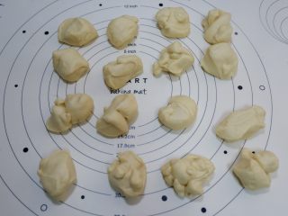 芝麻奶油小餐包（中种）,揉好的面团平均分成16个小面团。