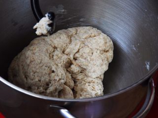 全麦迷你小面包（一次发酵）,厨师机二档速度搅拌10分钟，这是5分钟时的状态。