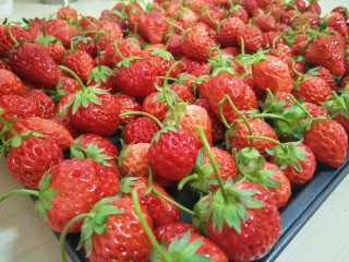 草莓酱,新鲜釆摘的草莓，一一挑选，坏的不能要，尽量选熟点的