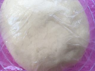 中种蜜豆牛奶馒头,盖保鲜膜发酵