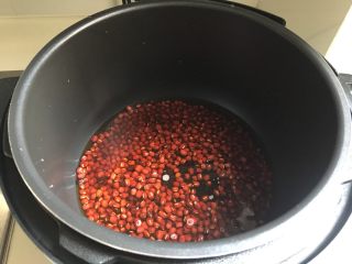 电压锅版红豆汤,所以这里水要多放一点，在豆子的水平面超过五倍，只能多不能少，不然豆子水份进不去