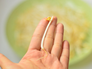 自制绿豆芽,手指头的长短，长的还算结实