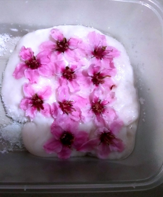 美人面~桃花🌸小食,整个桃花这样点缀，放入冰箱两小时。