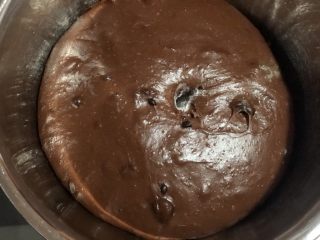 天然酵种巧克力蔓越莓吐司,发酵好的面团，手指沾干面粉戳下去，洞口不回缩不塌陷。